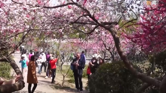 赢金配资 5月3日预计全社会跨区域人员流动量27796万人次