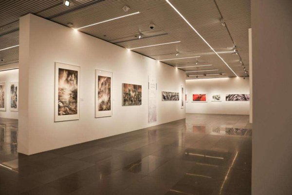 翼牛网 “归来再望黄山——赵龙光、里燕双人展”亮相安徽省美术馆