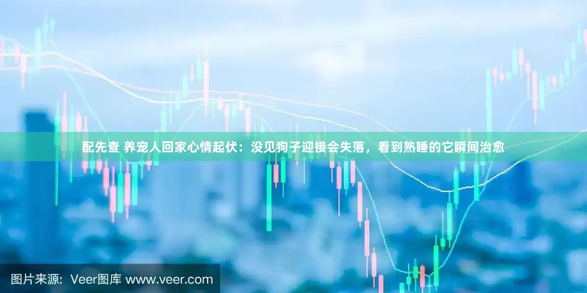 配先查 养宠人回家心情起伏：没见狗子迎接会失落，看到熟睡的它瞬间治愈